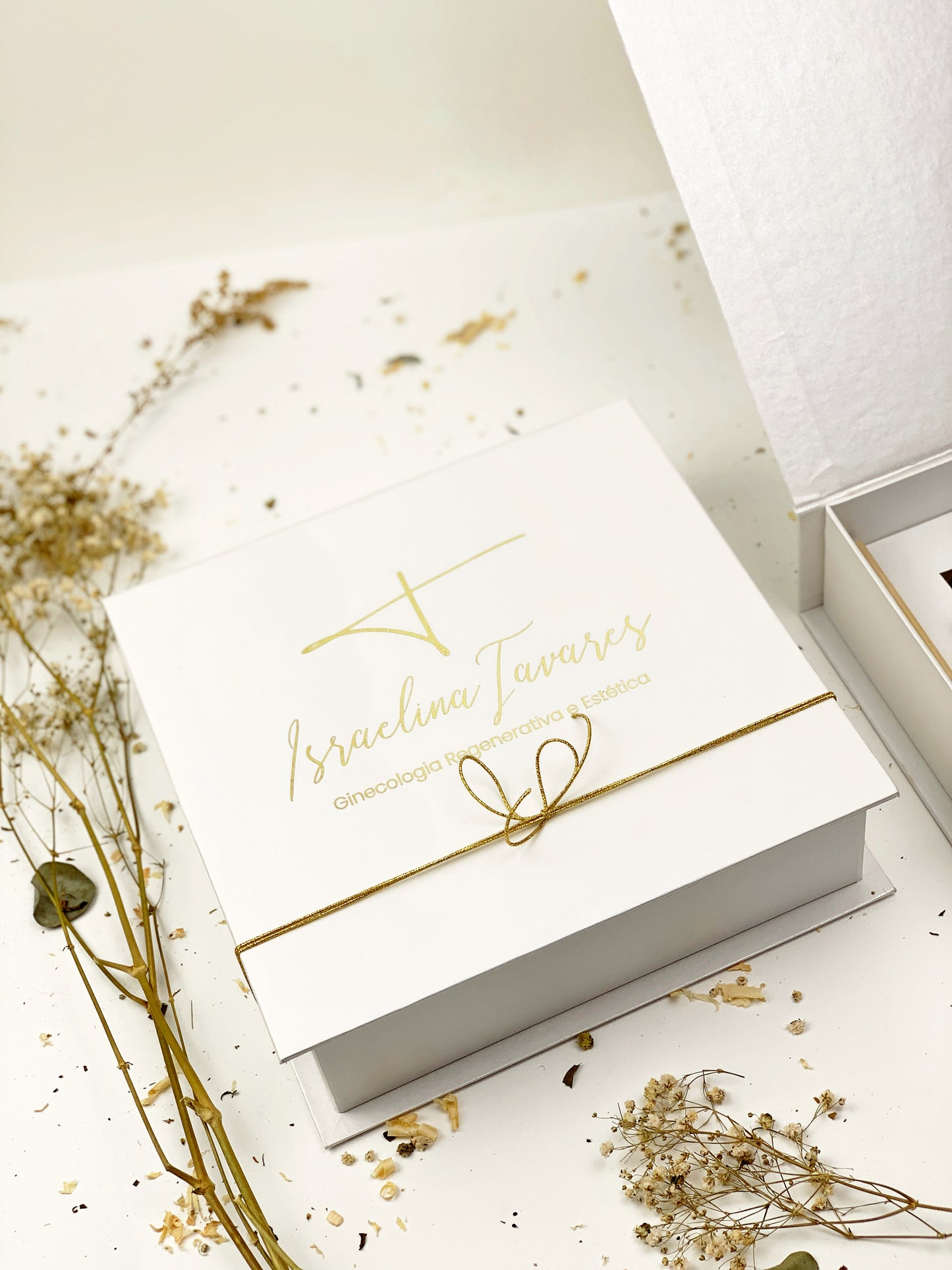 Presskit para ação de marketing corporativo Israelina